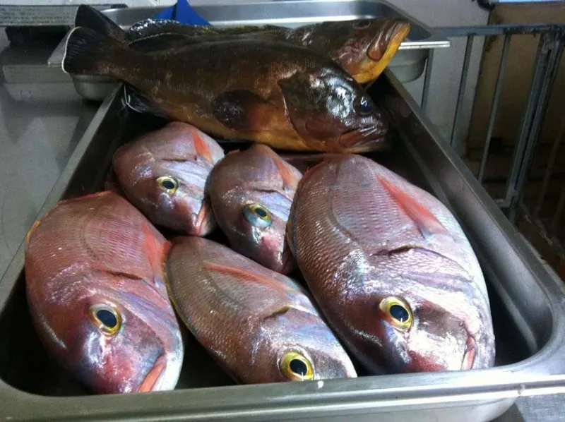The day's fish on display at a Nea Chora taverna in Chania