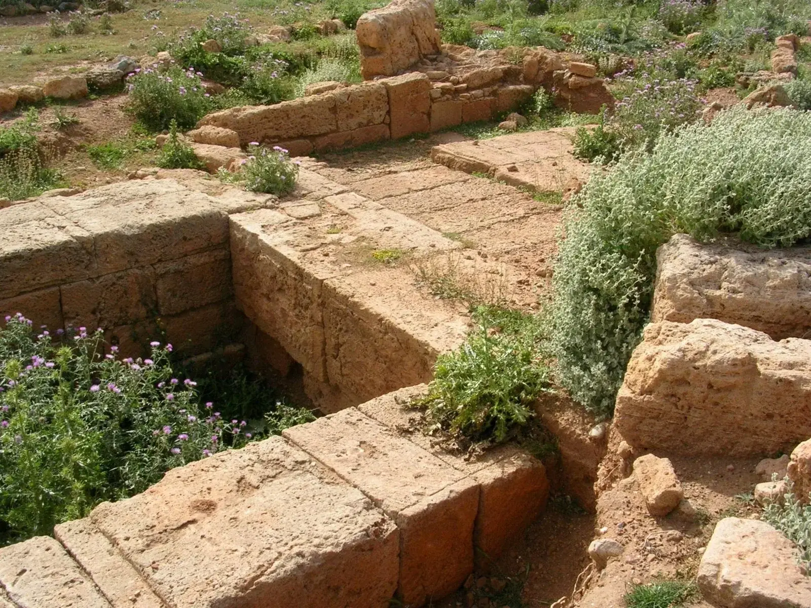Ancient Falasarna: Unraveling the Secrets of an Greek City-State, photo 6