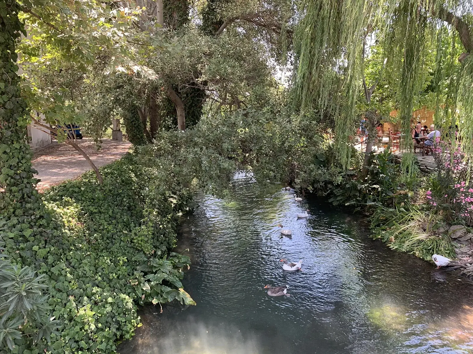 A tree-lined stream through Kalyves village