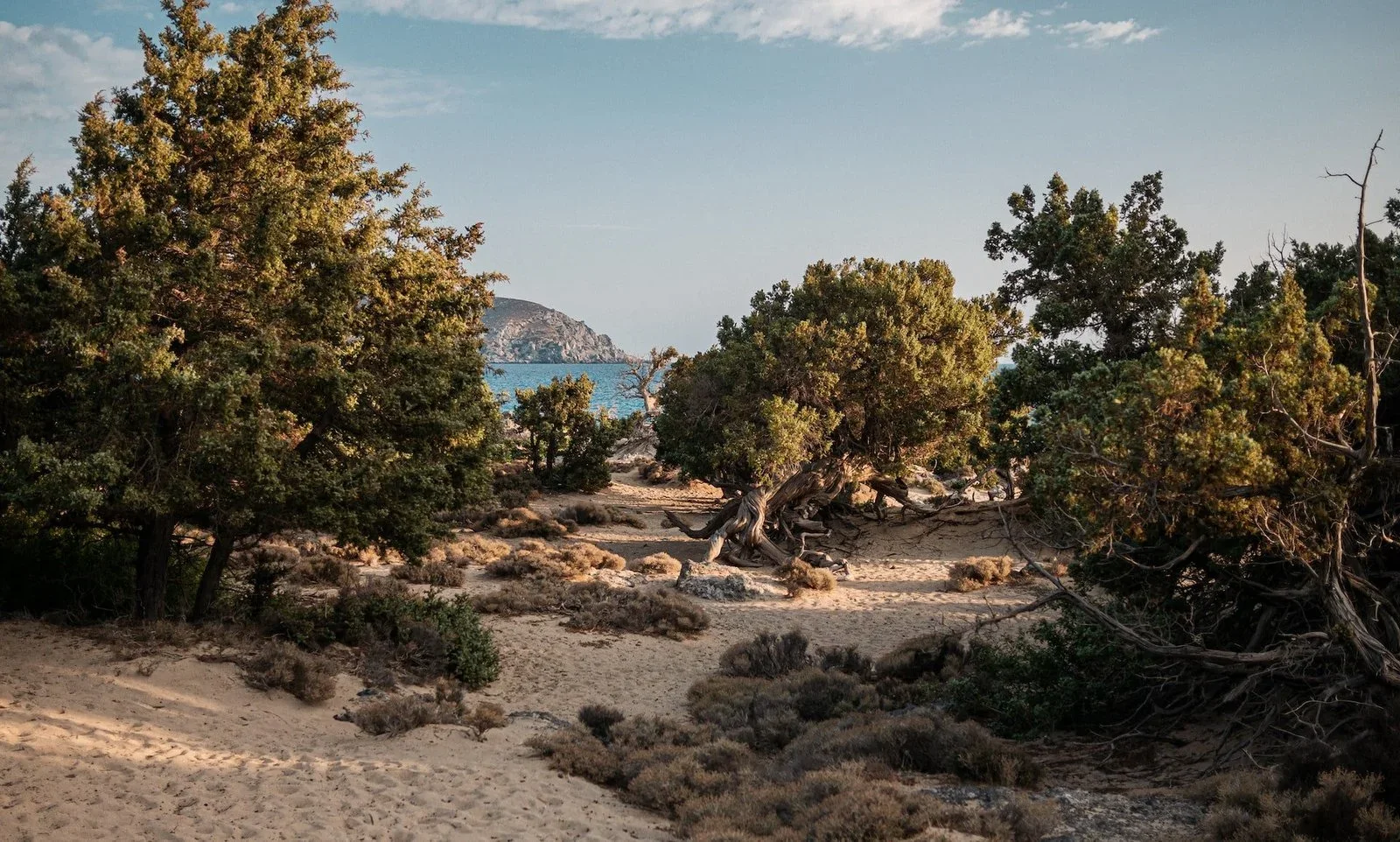 Κεδρόδασος: η ανέγγιχτη ομορφιά της Κρήτης, φωτογραφία 4