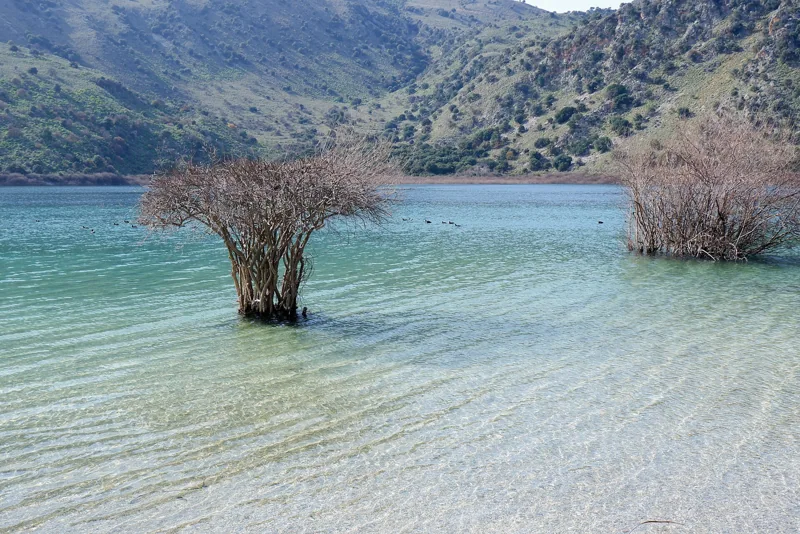 Lake Kournas with its shallow summer shore