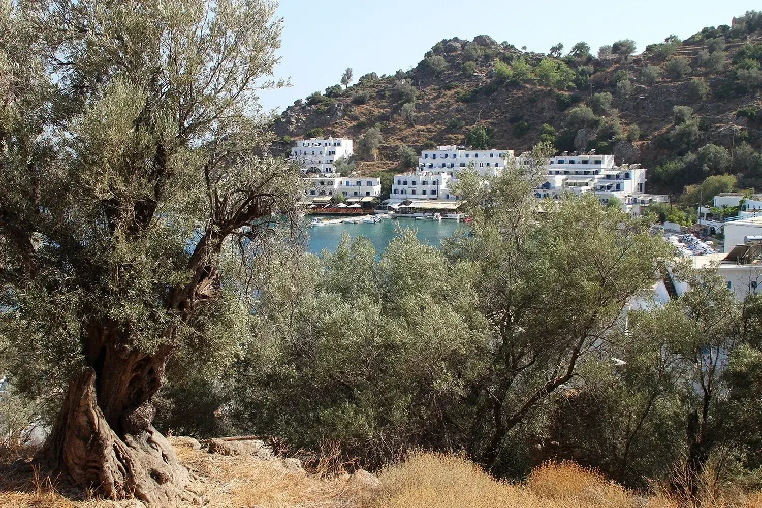 Loutro, ein idyllisches Küstendorf mit antikem Hafen und reicher Geschichte in Sfakia, Kreta, Foto 2