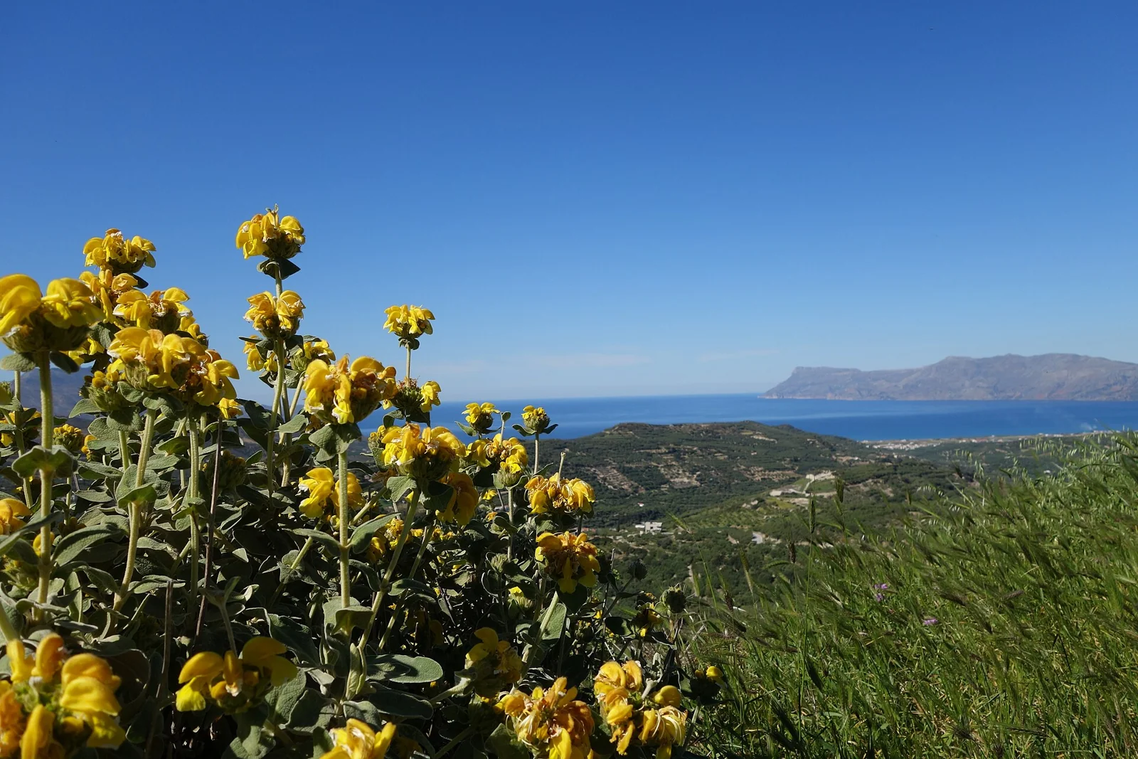 Nopigia beach