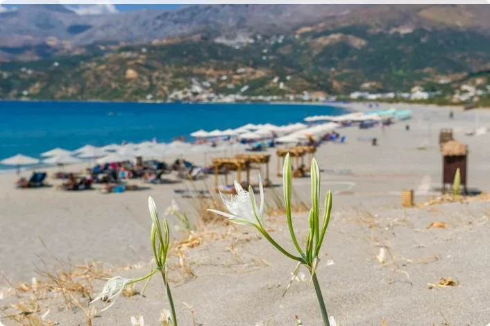 Plage de Plakias : là où la sérénité rencontre la splendeur, sur la côte sud de la Crète, photo 20