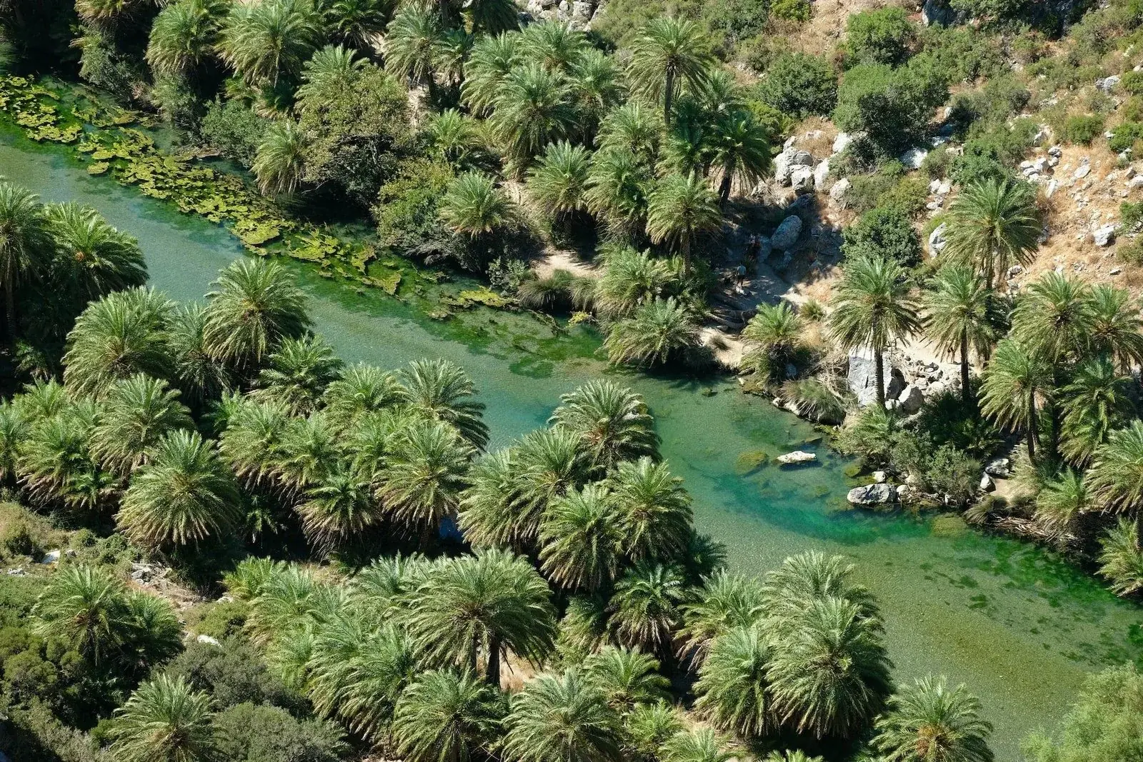 Palmenstrand van Preveli en omgeving, Kreta, foto 10