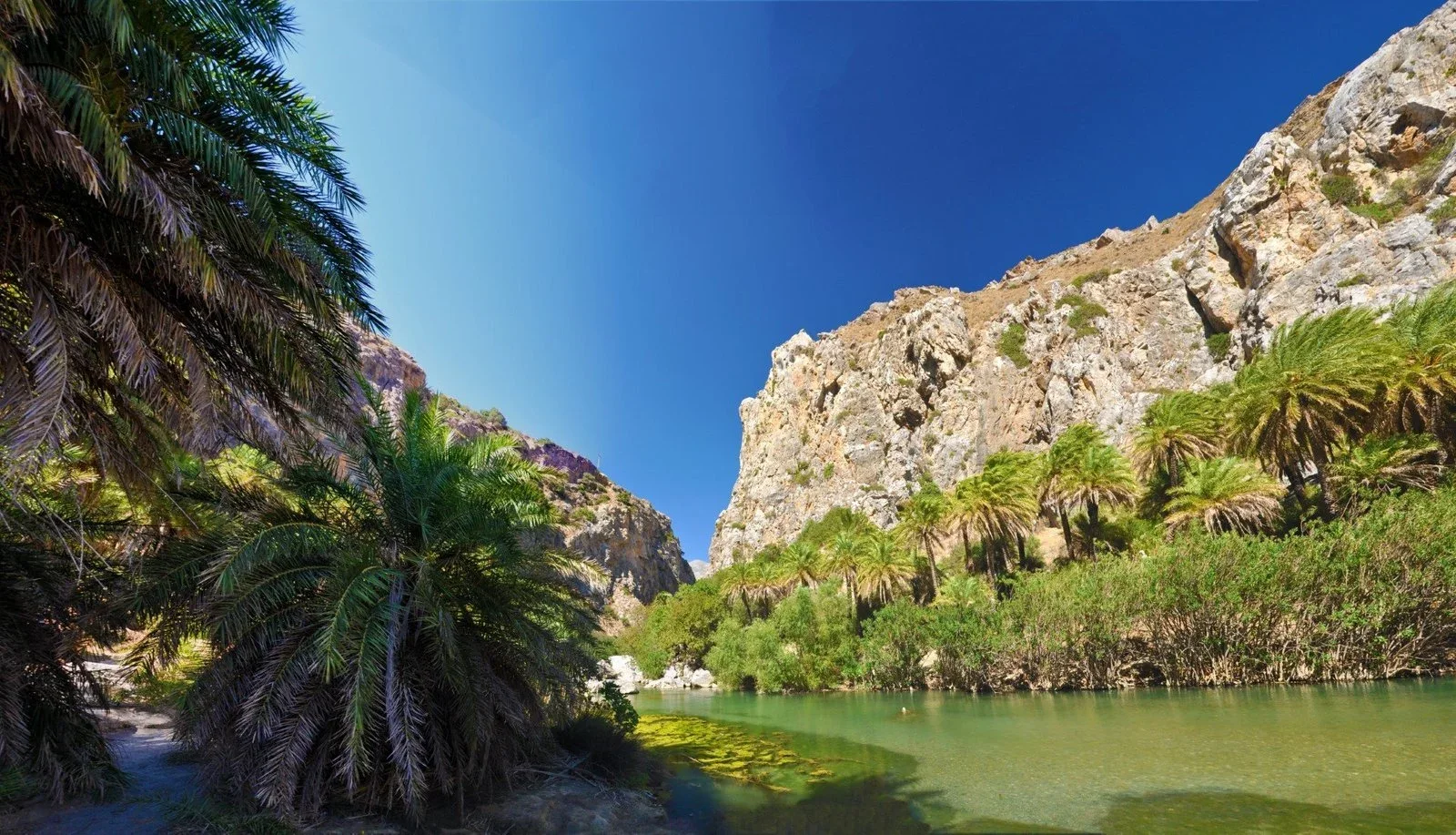 Palmenstrand van Preveli en omgeving, Kreta, foto 13