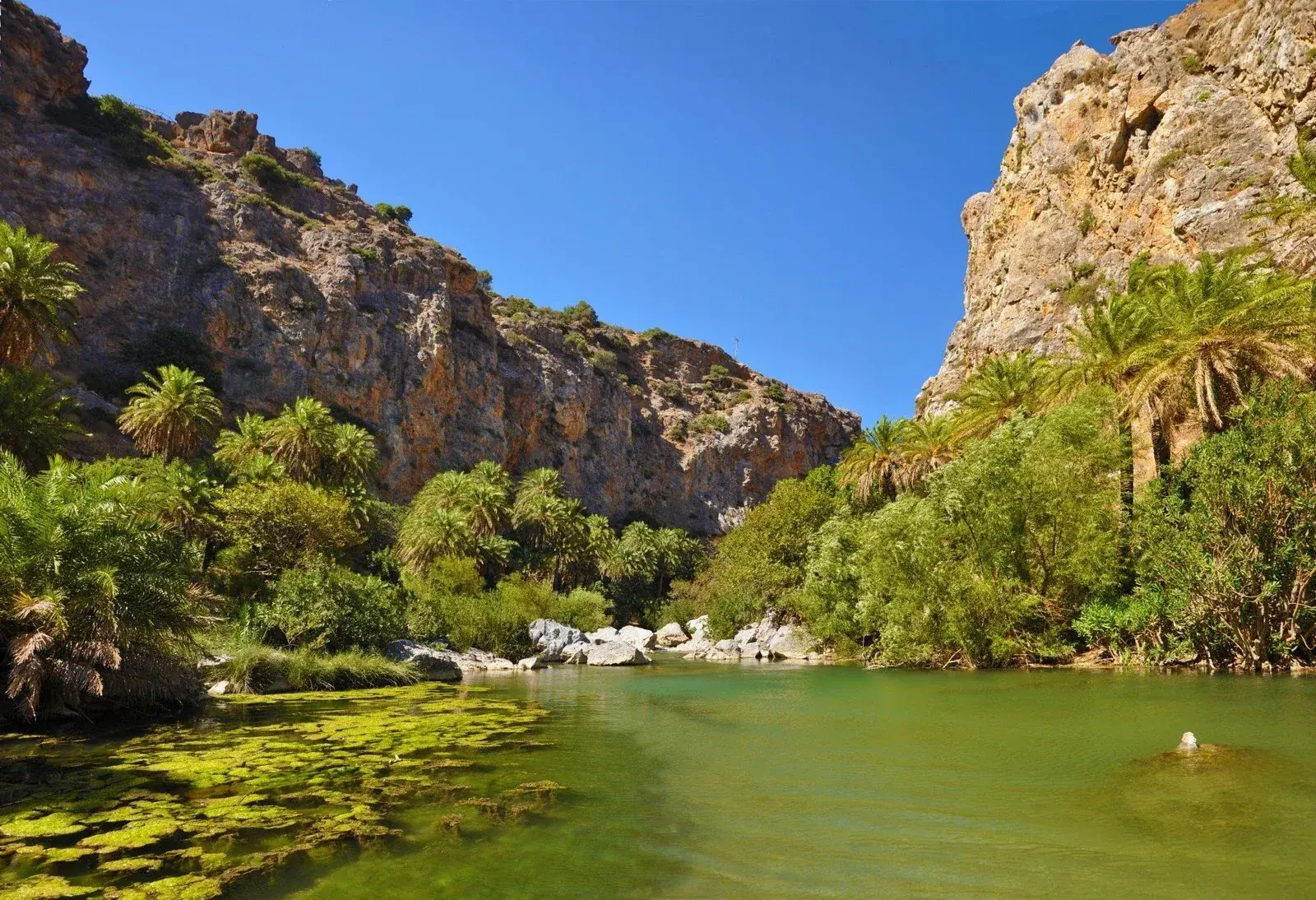 Palmenstrand van Preveli en omgeving, Kreta, foto 9