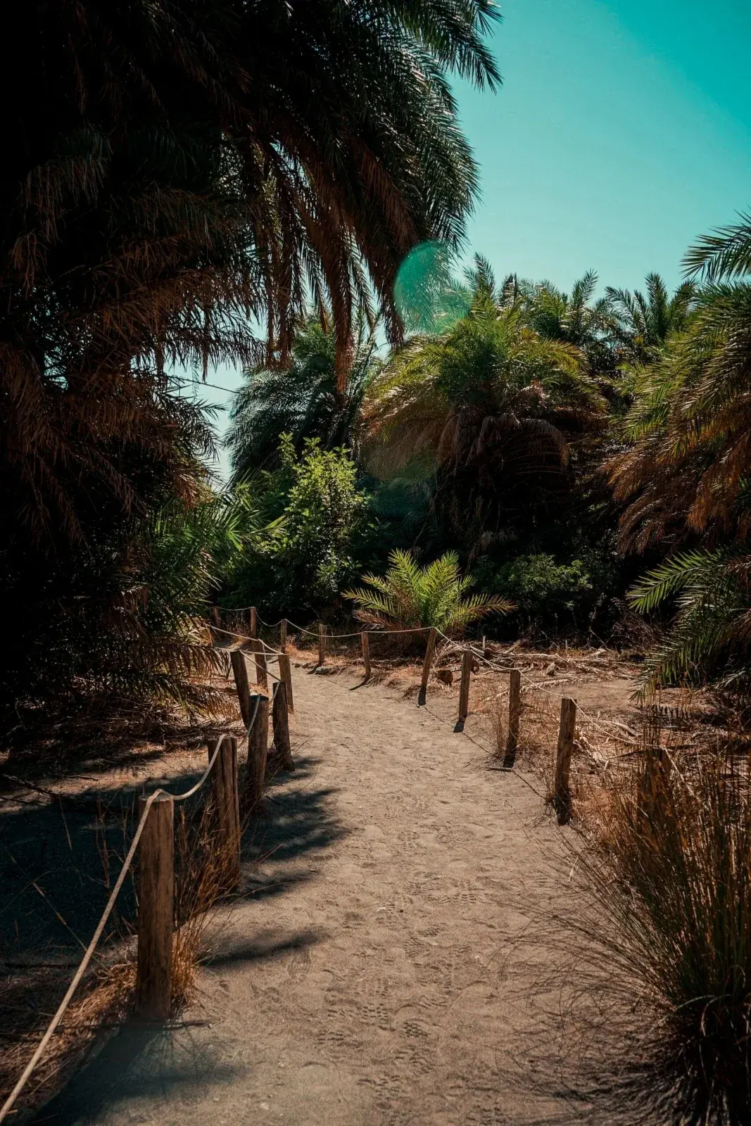 Palmenstrand van Preveli en omgeving, Kreta, foto 3