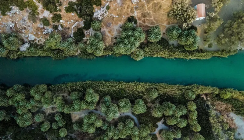 Preveli beach and the palm-lined river