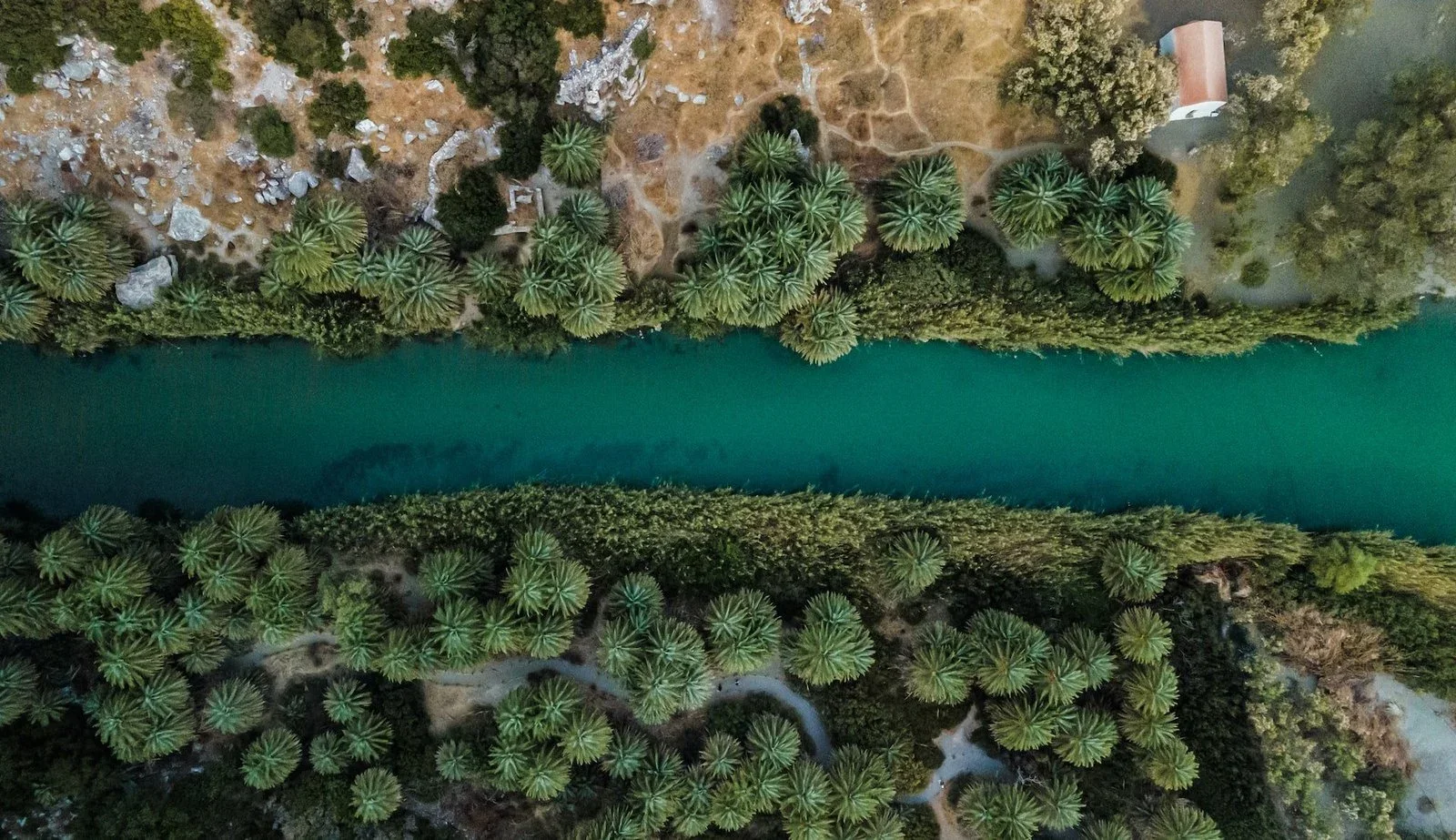 Palmenstrand van Preveli en omgeving, Kreta, foto 4