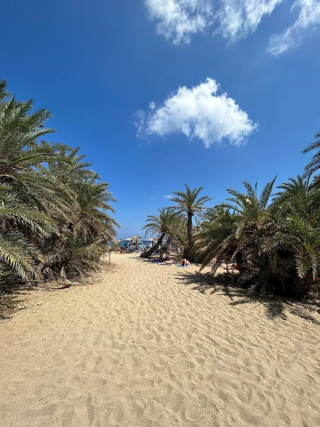 Vaï : plage et palmeraie, photo 1