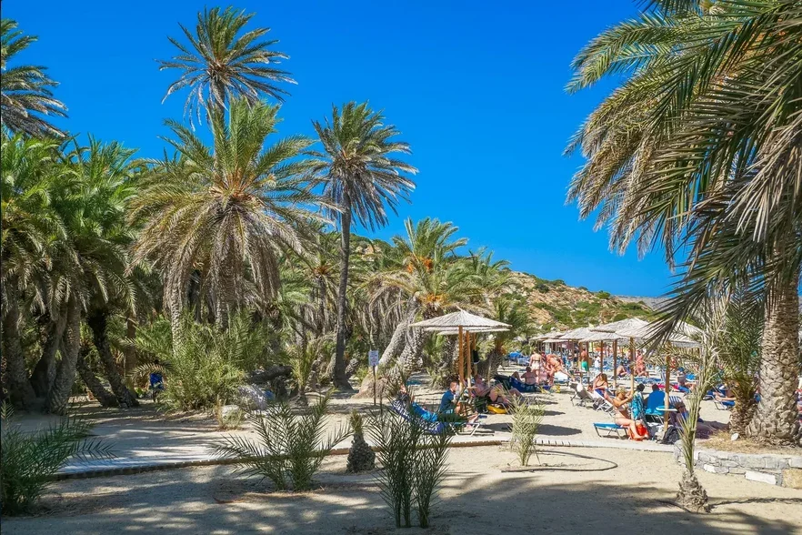 Vaï : plage et palmeraie, photo 13
