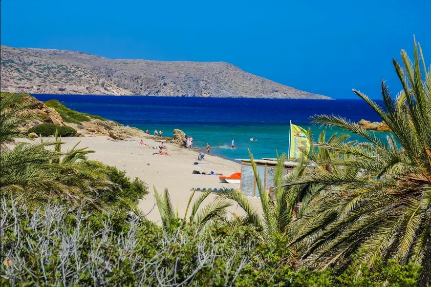 Vaï : plage et palmeraie, photo 16
