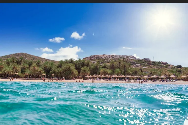 Vaï : plage et palmeraie, photo 23
