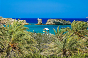 Exploring Vai Beach, Palm Forest